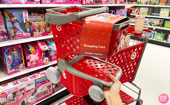 a Person Holding Target Toy Shopping Cart