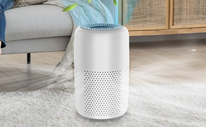 an Air Purifier on a Carpet