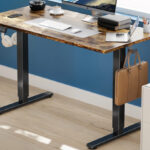 edx Electric Standing Desk