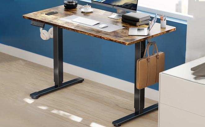 edx Electric Standing Desk