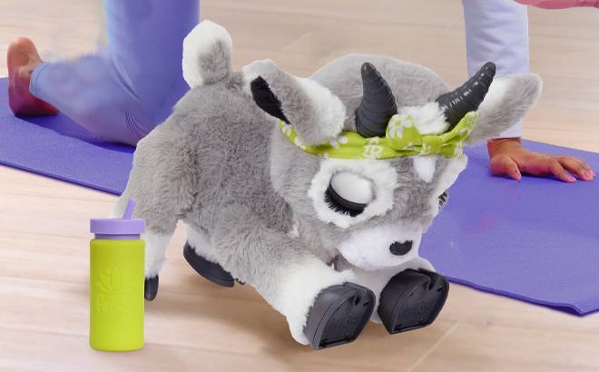 furReal Daisy the Yoga Goat Interactive Toy