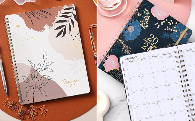 2025 Planner Weekly and Monthly