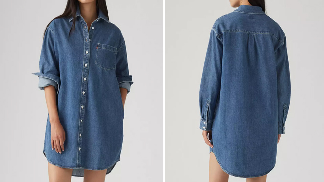 5 Levis Nola Shirt Dress