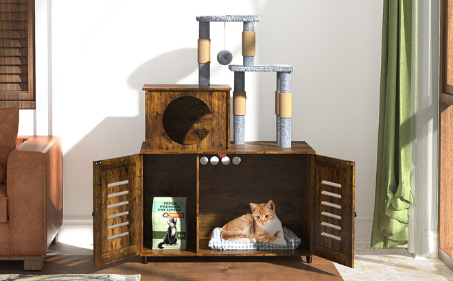 A Cat Laying Inside the EasyCom Litter Box Enclosure