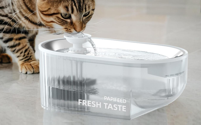 A Cat drinking from Papifeed Cat Water Fountain