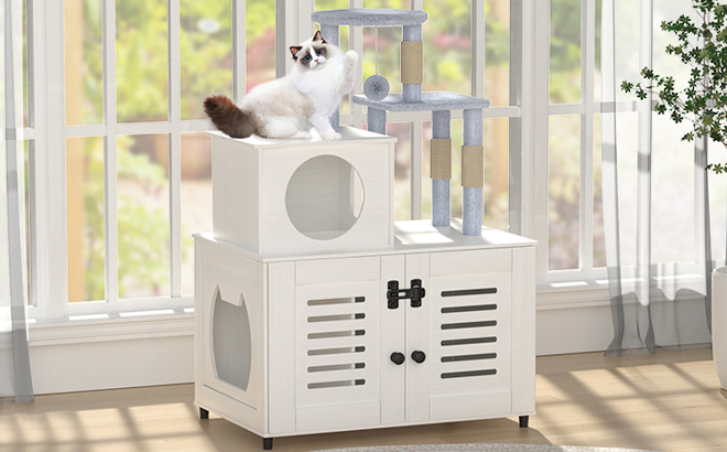 A Cat on top of the EasyCom Litter Box Enclosure