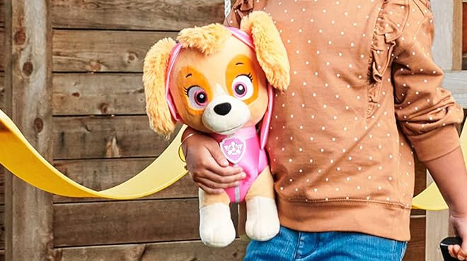 A Girl Holding Paw Patrol Skye Plush Toy