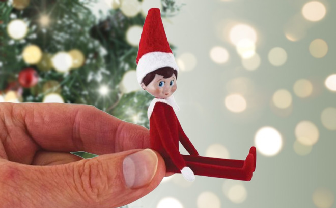 A Person Holding Worlds Smallest The Elf On The Shelf