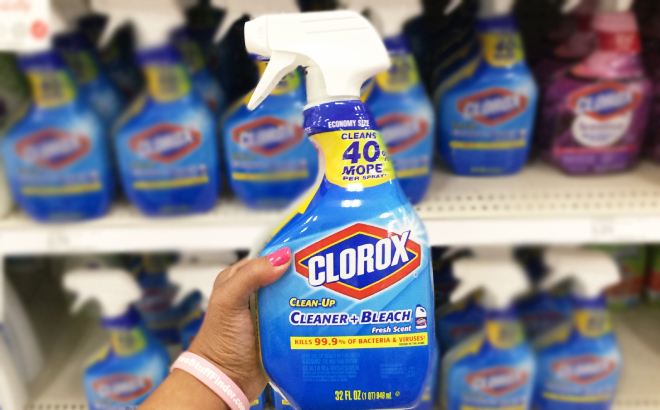 A Person Holding a Clorox Clean Up Cleaner with Bleach