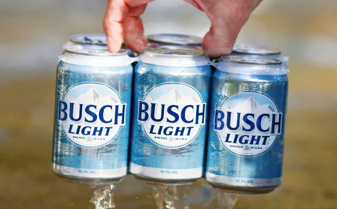 A Person Holding a Pack of Busch Light Beer Cans