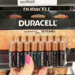 A Person Holding a Pack of Duracell 16 Count Coppertop AA Alkaline Batteries