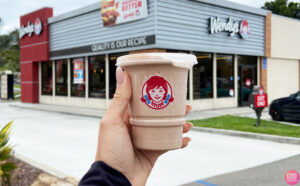 A Person Holding a Wendys Choco Frosty