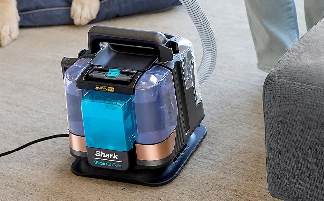 A Person Using the Shark StainStriker HairPRO Pet Portable Stain Remover