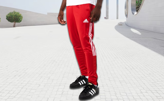 Adidas Tiro Mens Tapered Track Pants in red color