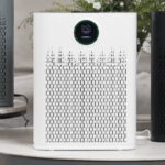 Air Purifier for Large Room