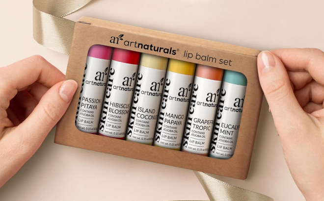 ArtNaturals Lip Balm Gift Set