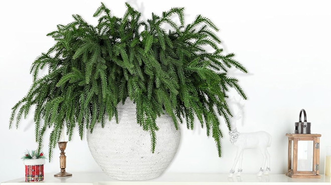 Artificial Christmas Pine Branches in a Vase