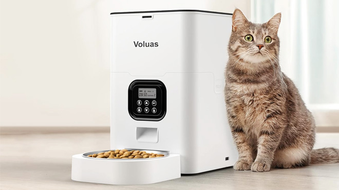 Automatic Cat Feeder