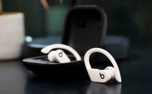 Beats Powerbeats Pro Totally Wireless Earbuds