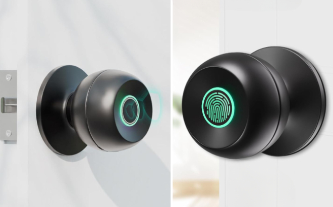 Biometric Door Lock