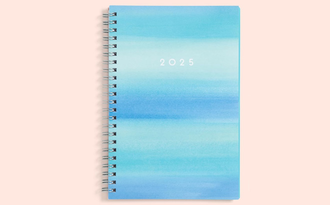 Blue Sky 2025 Weekly and Monthly Planner Calendar