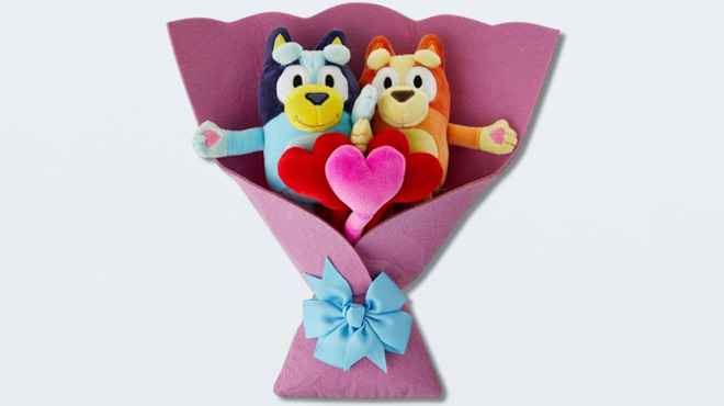 Bluey Plush Bouquet 5 Piece Set