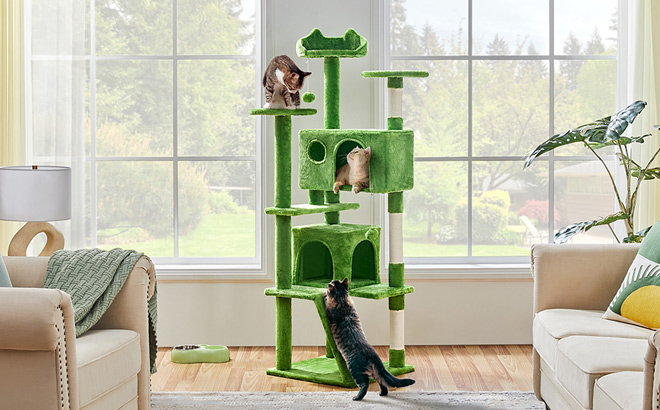 Cats Playing at a Cat Tree Tower