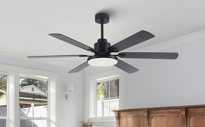 Ceiling Fan with Light 1