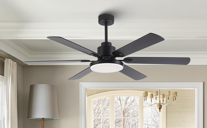 Ceiling Fan with Light 2