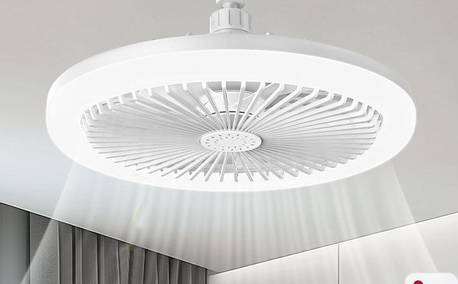 Ceiling Fan with Light