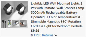 Checkout page of Lightbiz LED Wall Mounted Lights 2 Pack