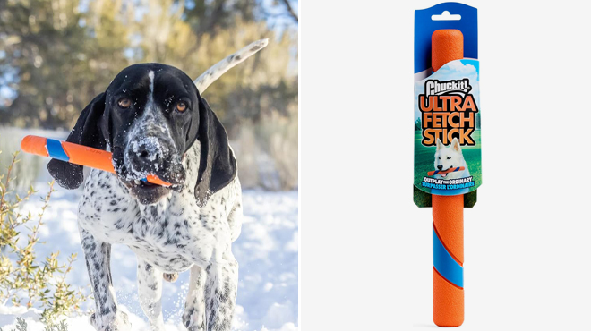 Chuckit Ultra Fetch Dog Stick