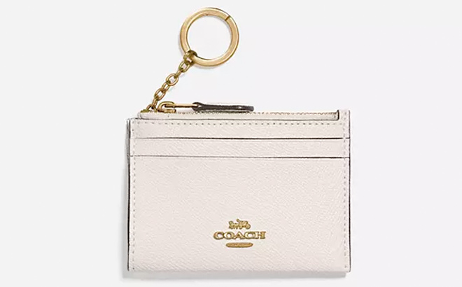 Coach Outlet Mini Skinny Id Case