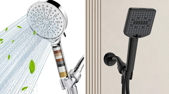 Cobbe Filtered Shower Head with Handheld