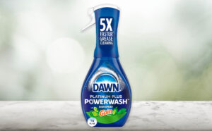 Dawn Powerwash Gain Original Dish Spray on the Table