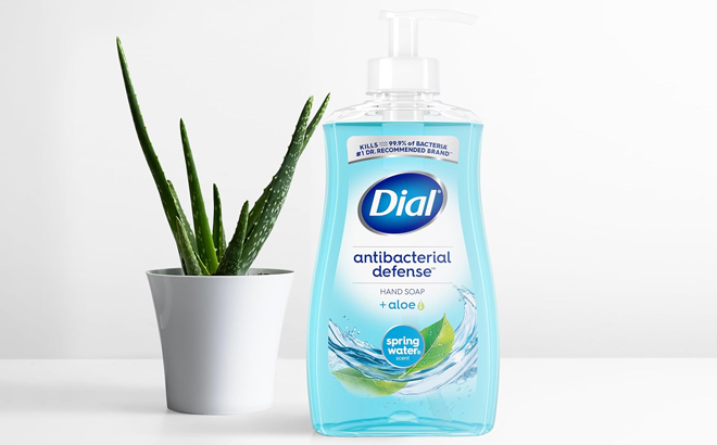 Dial Antibacterial Liquid Hand Soap in Spring Water Scent