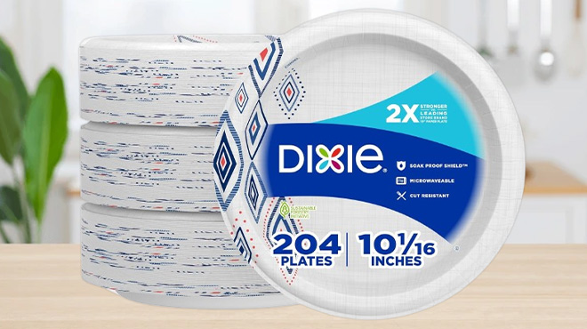 Dixie 204 Count Large Paper Plates on a Table