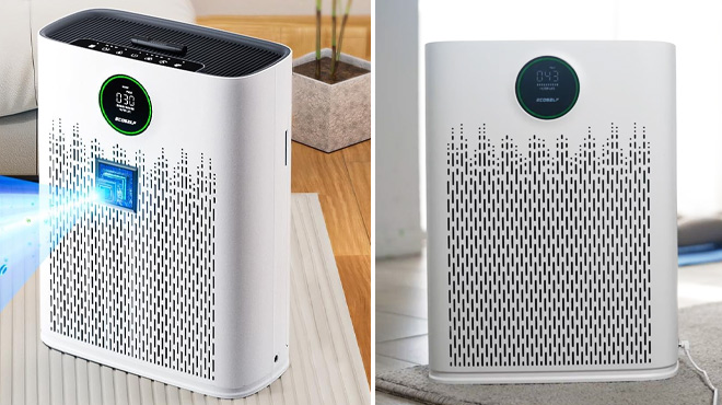 ECOSELF Air Purifier