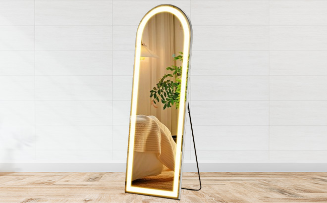 EDX LED 3 Color Lighting Full Body Mirror in the Room