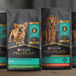 FREE Purina Pro Plan Dog Food