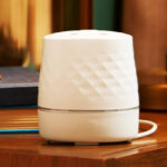 Febreze Plug Scent Booster Oil Diffuser