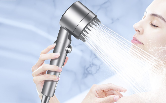 Filtered Shower Head with Handheld