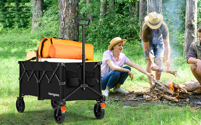 Foldable Wagon Cart