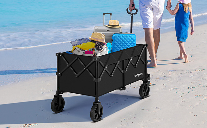 Folding Wagon Cart