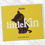 Kinship LittleKin Kitten Kit Box