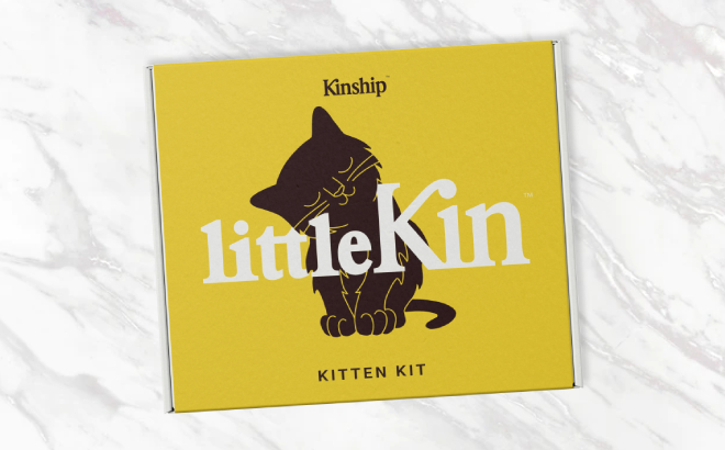 Kinship LittleKin Kitten Kit Box