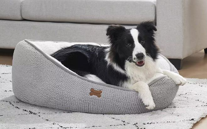 Koolaburra by UGG Jeff Pet Bed