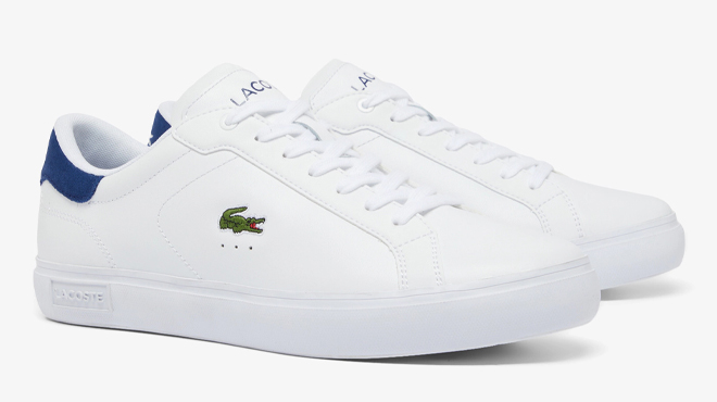 Lacoste Mens Powercourt Leather Sneakers