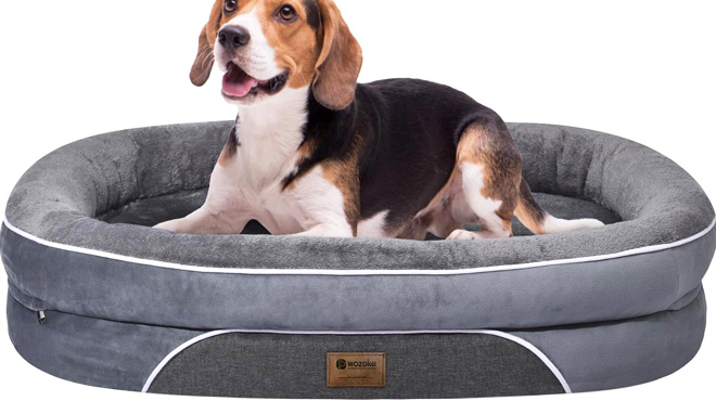 Large Dog Bed