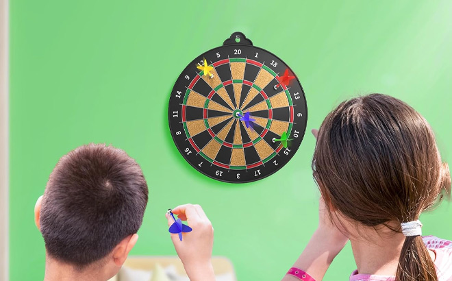 Magnetic Dart Board on the Wall